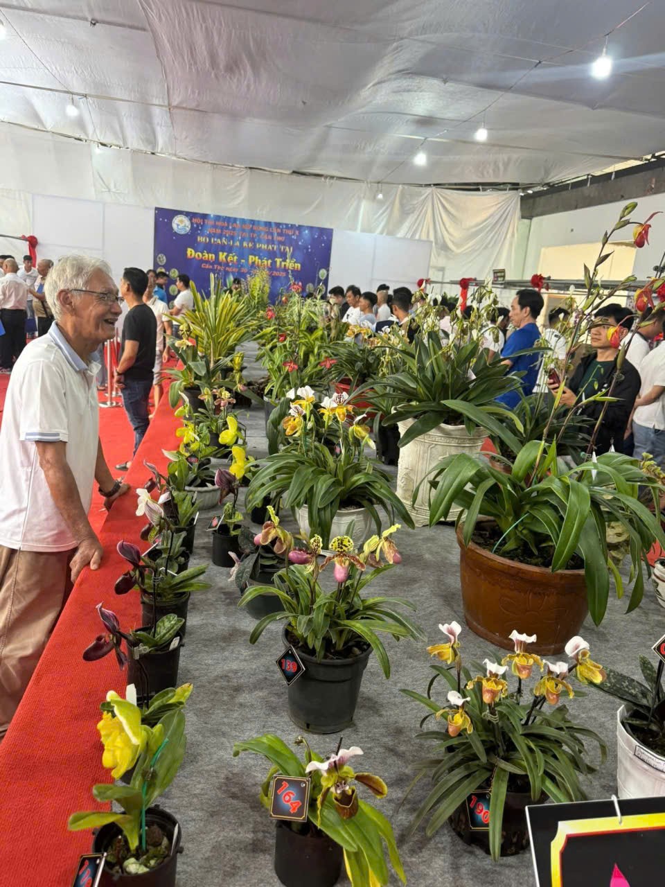 Hội thi và trưng bày hoa lan toàn quốc lần thứ X: Sắc hương hội tụ tại Cần Thơ