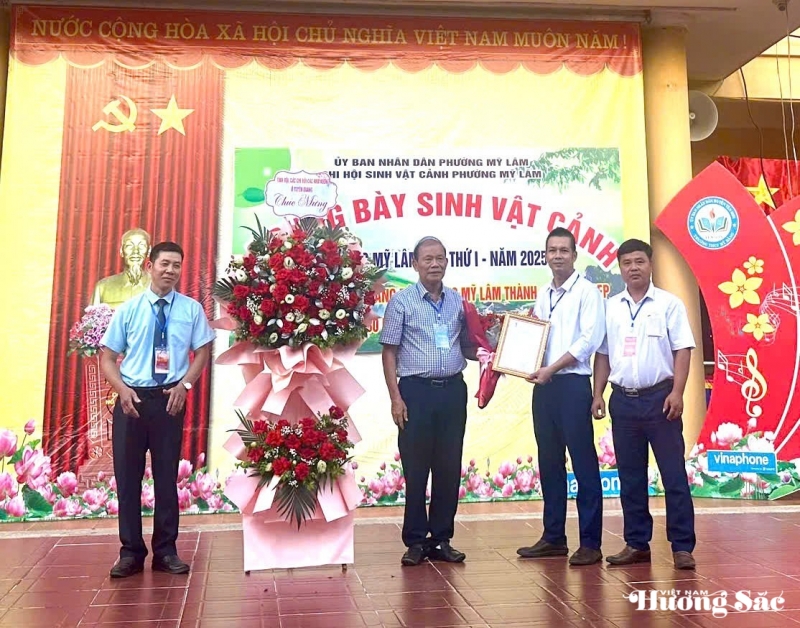 Tuyên Quang: Khai mạc Trưng bày sinh vật cảnh phường Mỹ Lâm lần thứ nhất