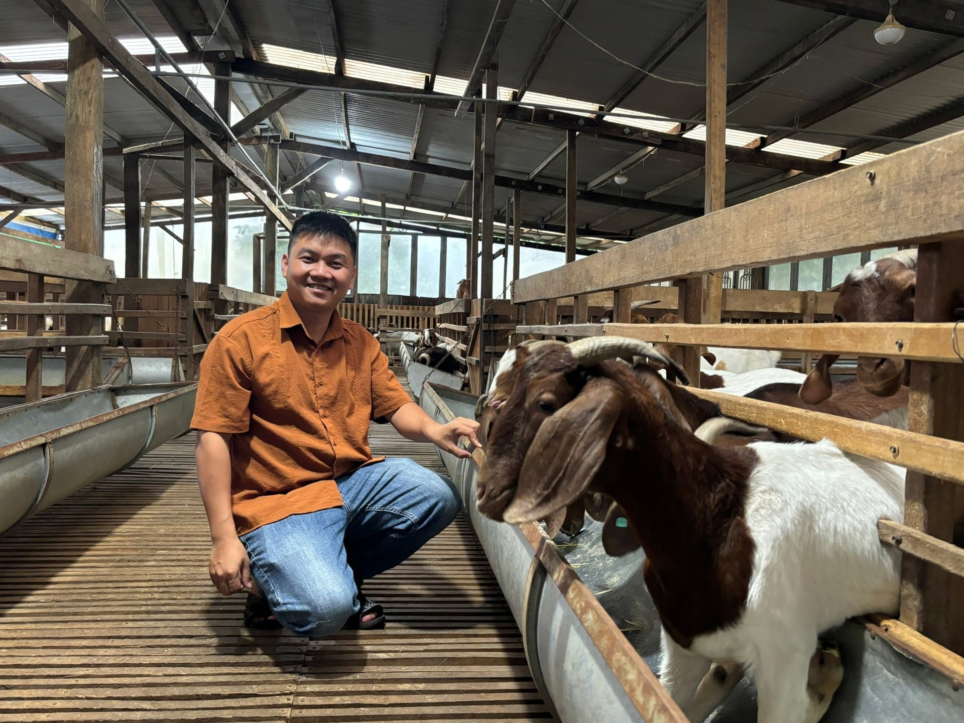 Nông dân trẻ lập liên kết nuôi dê Boer, nhân đàn nhanh, hiệu quả cao