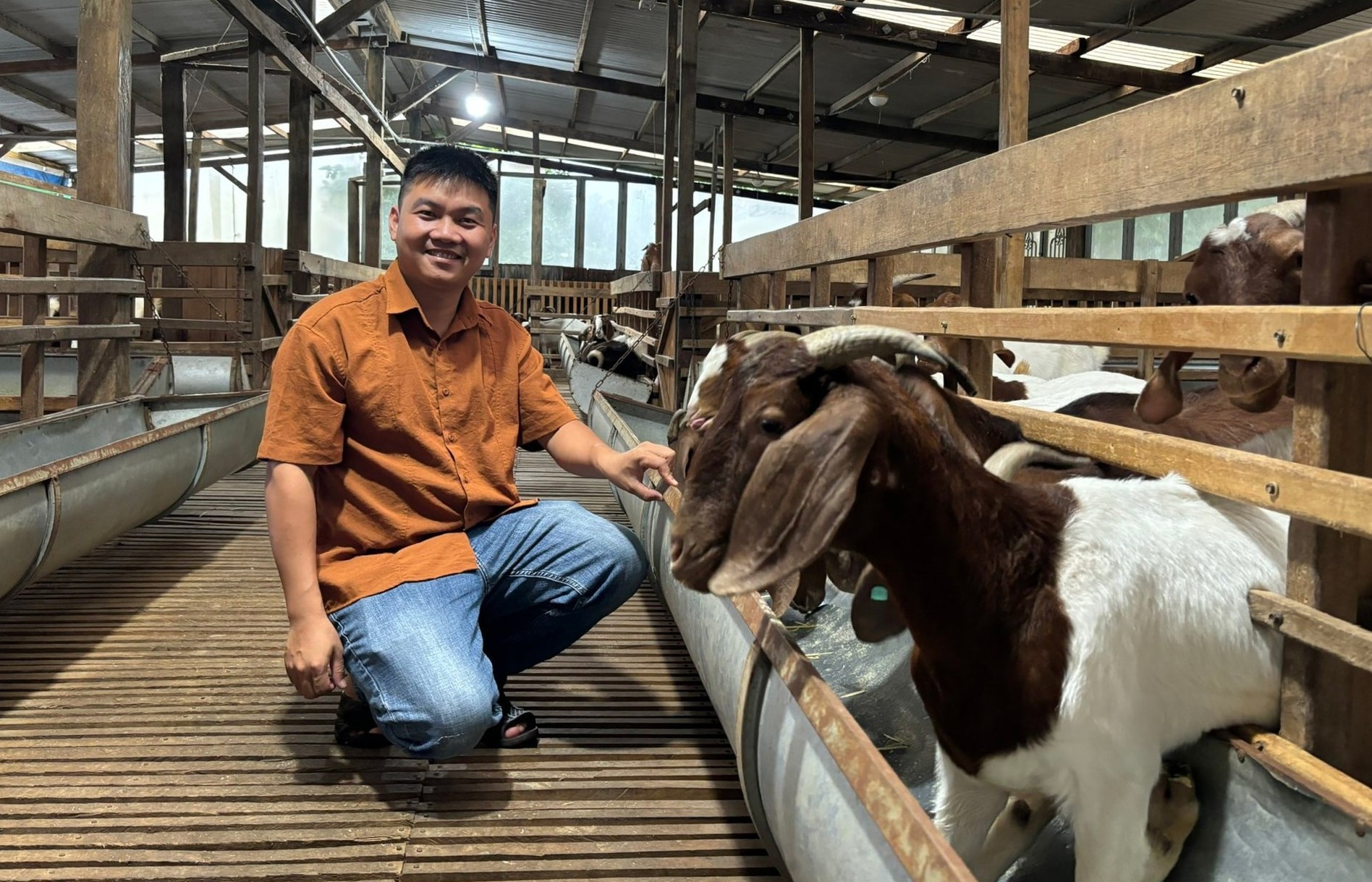 Nông dân trẻ lập liên kết nuôi dê Boer, nhân đàn nhanh, hiệu quả cao