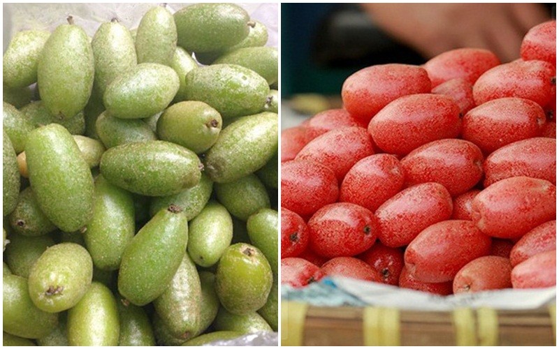 Loại quả ăn được cả xanh lẫn chín, trồng tràn lan ở Việt Nam, được Trung Quốc ưa chuộng với giá bán ngất ngưởng