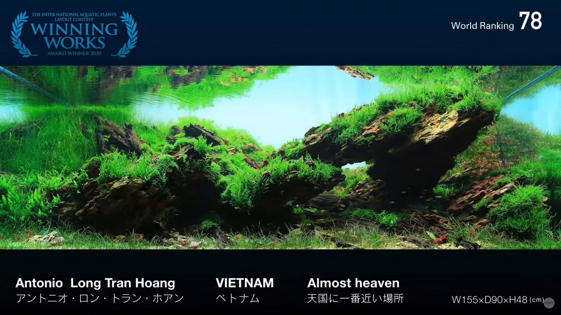 Trần Hoàng Long – Biểu tượng tiên phong của nghệ thuật thủy sinh Việt Nam