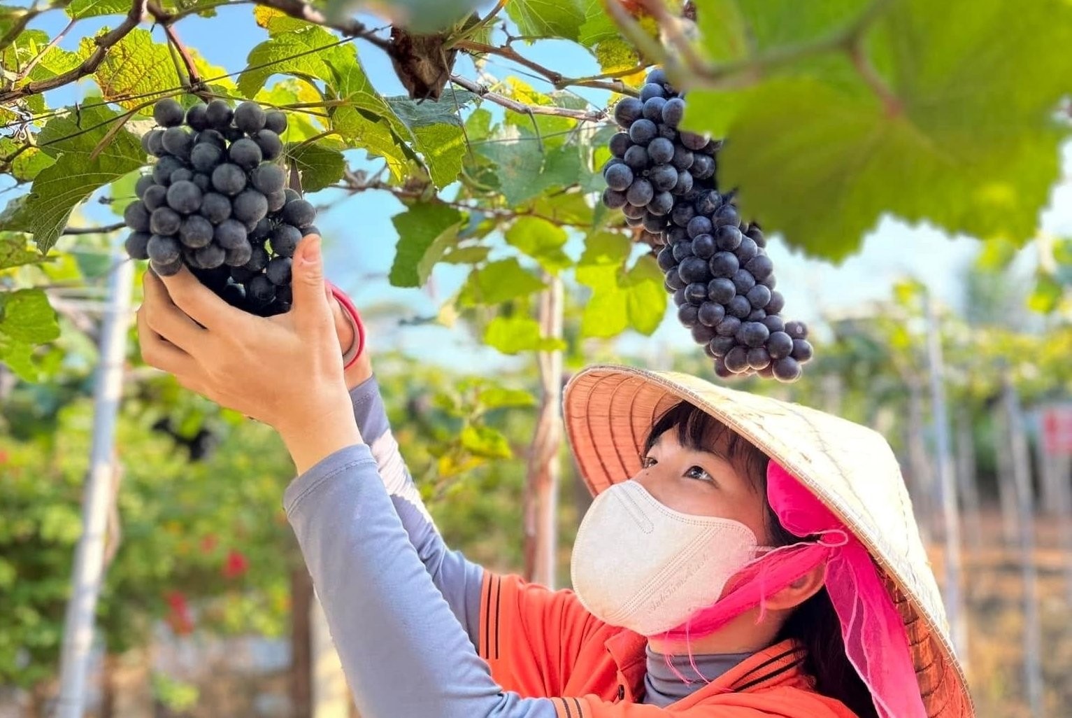 Xã có tiểu sa mạc lớn nhất Lâm Đồng làm giàu nhờ du lịch và nông nghiệp, hướng tới nông thôn mới kiểu mẫu