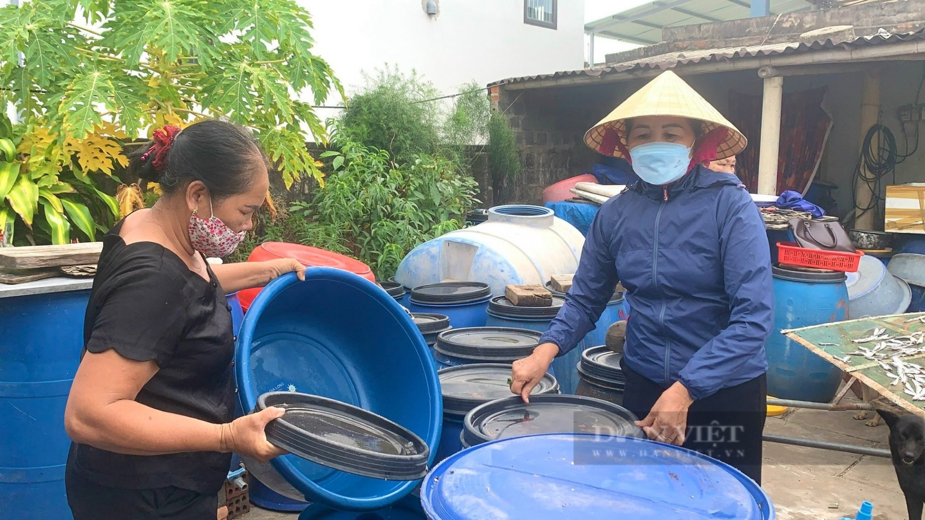 Quảng Trị: Làng nước mắm Nhân Trạch trăm năm nâng tầm thương hiệu