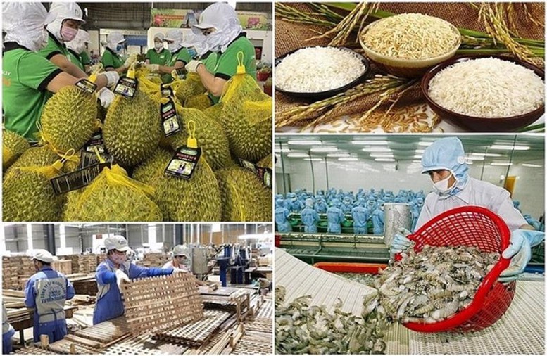 Tăng cường truy xuất nguồn gốc, bảo đảm chất lượng và uy tín nông, lâm, thủy sản xuất khẩu
