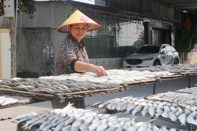 Nhộn nhịp nghề nướng cá ở làng biển Quỳnh Lưu, Nghệ An