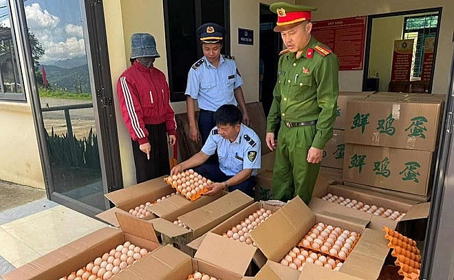Tuyên Quang: Phát hiện hơn 10.000 quả trứng gà nhập lậu, không rõ nguồn gốc