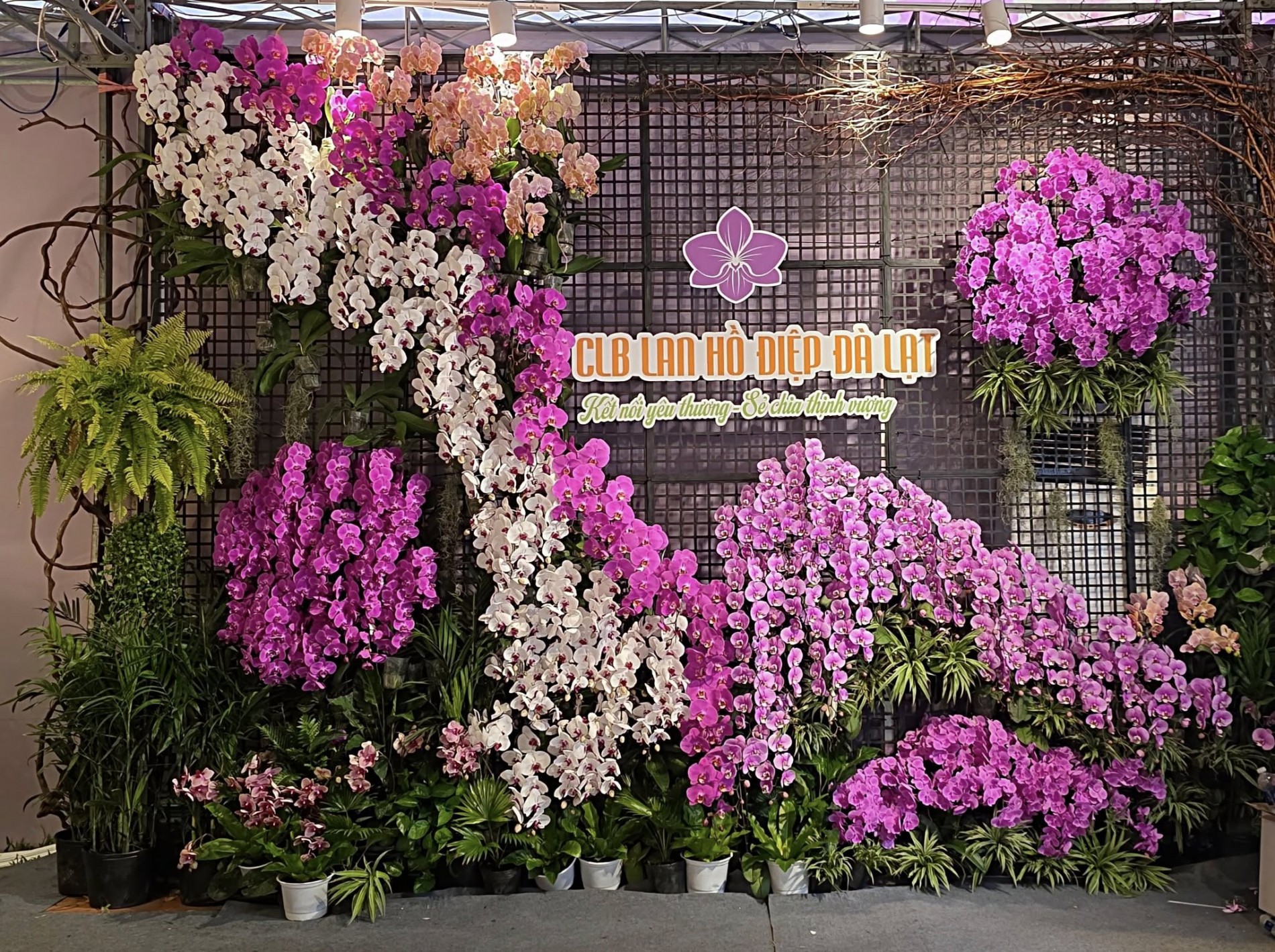 Sở Giáo dục và Đào tạo TP.HCM: Cần giải bài toán cân bằng giữa tiết kiệm và sinh kế nông dân trồng hoa