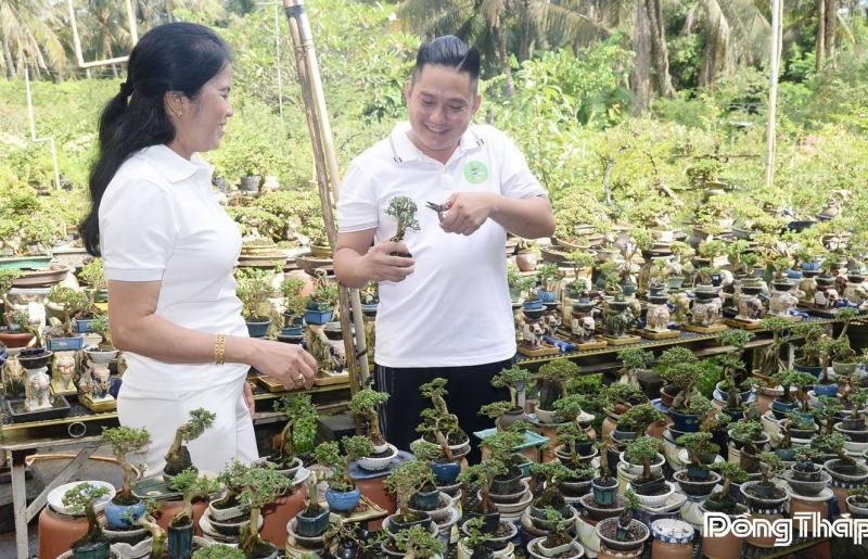 Chàng trai Đồng Tháp biến cây quý hiếm thành bonsai siêu mini độc đáo