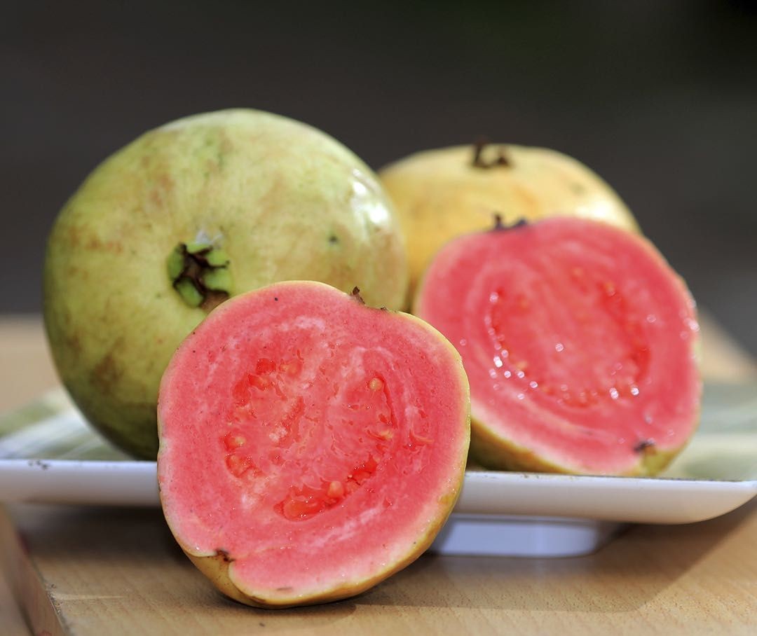 Loại quả dân dã, ăn vào thơm nức nhà, hóa ra là kho vitamin C cho cả gia đình