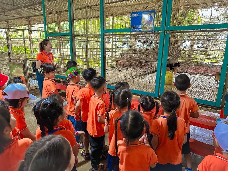 Hoạt động trải nghiệm ngoài thiên nhiên giúp học sinh hiểu thêm về sinh vật cảnh