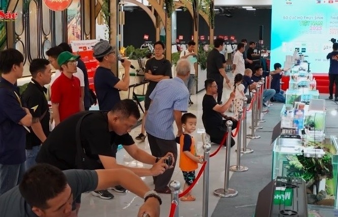 Việt Nam lần đầu tiên đăng cai sự kiện thủy sinh quốc tế tại TP HCM