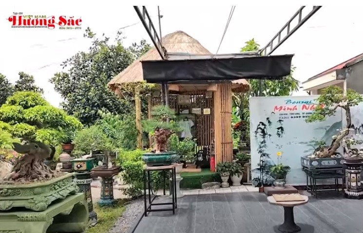 Chiêm ngưỡng vườn bonsai độc đáo của nghệ nhân Minh Nhật tại Quảng Ngãi