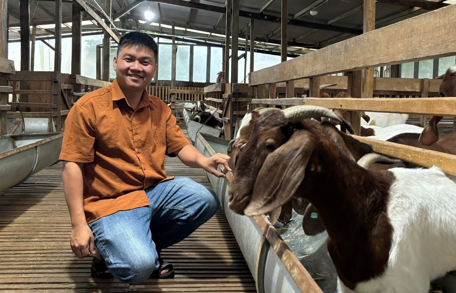 Nông dân Lâm Đồng nuôi thành công giống dê khổng lồ từ Nam Phi