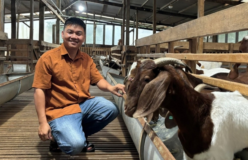 Nông dân Lâm Đồng nuôi thành công giống dê khổng lồ từ Nam Phi