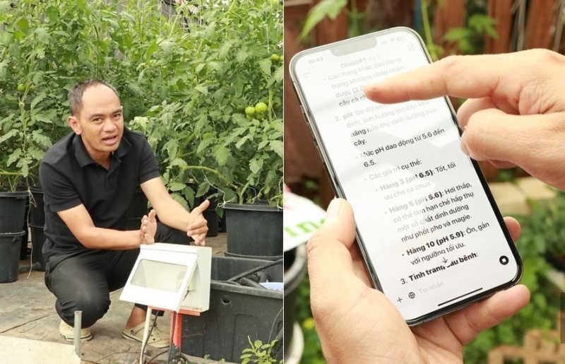 Nông nghiệp công nghệ cao ở Lâm Đồng: Nông dân chăm rau, trồng hoa bằng điện thoại thông minh