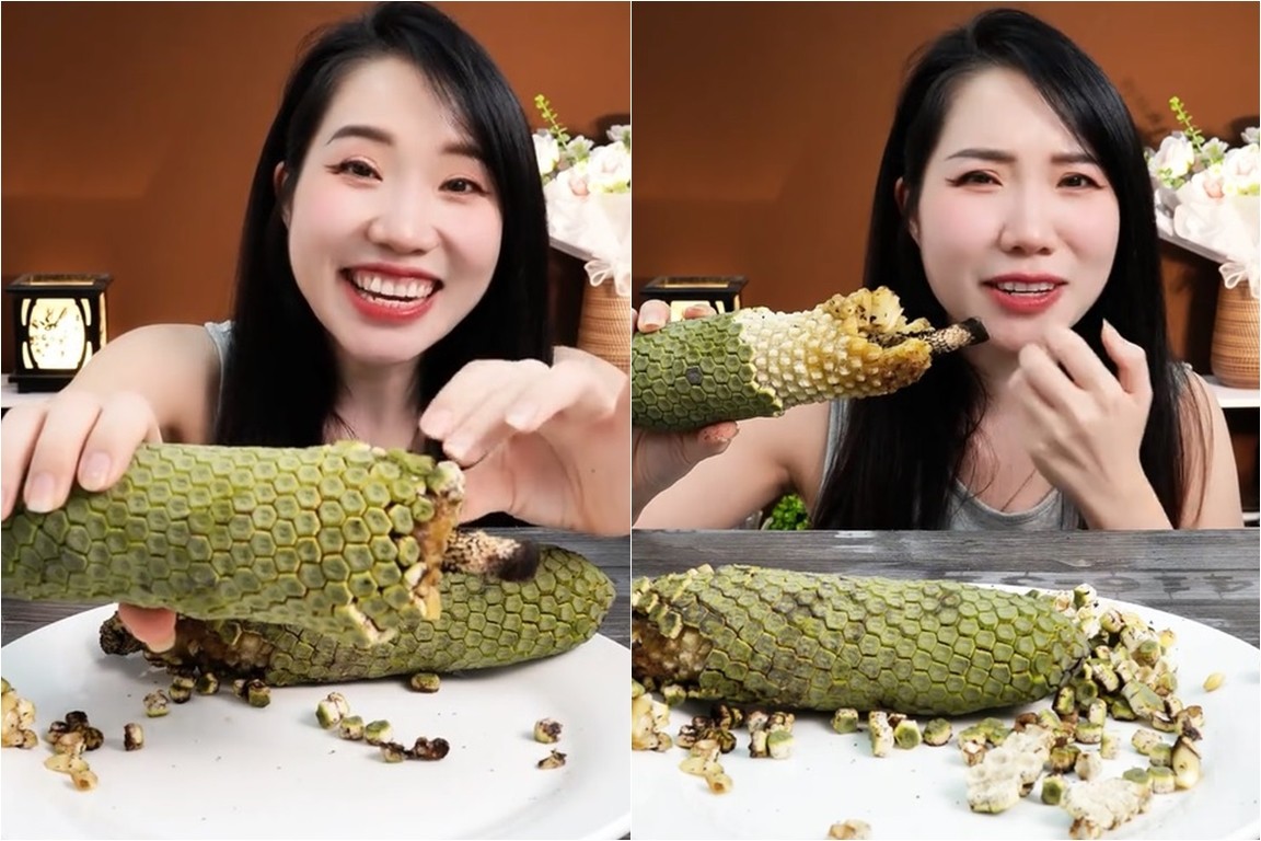“7 năm mới có thể thưởng thức”: Loại cây cảnh nhà giàu thành đặc sản mukbang gây sốt mạng xã hội