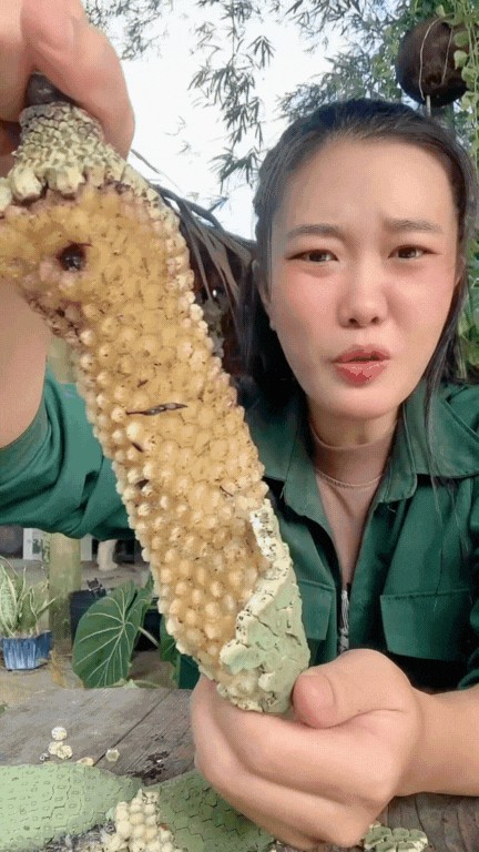 “7 năm mới có thể thưởng thức”: Loại cây cảnh nhà giàu thành đặc sản mukbang gây sốt mạng xã hội