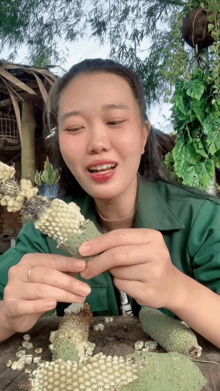 “7 năm mới có thể thưởng thức”: Loại cây cảnh nhà giàu thành đặc sản mukbang gây sốt mạng xã hội
