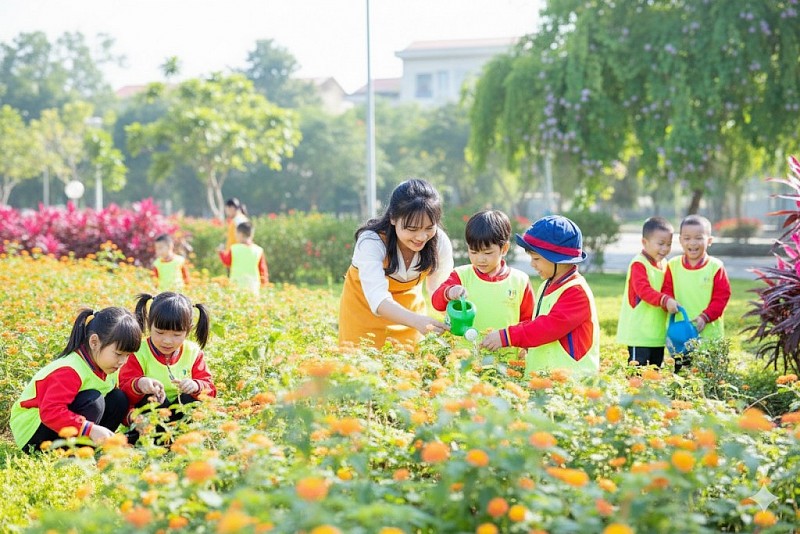 Giáo dục xanh – Chiến lược chuyển đổi vì tương lai bền vững của Việt Nam