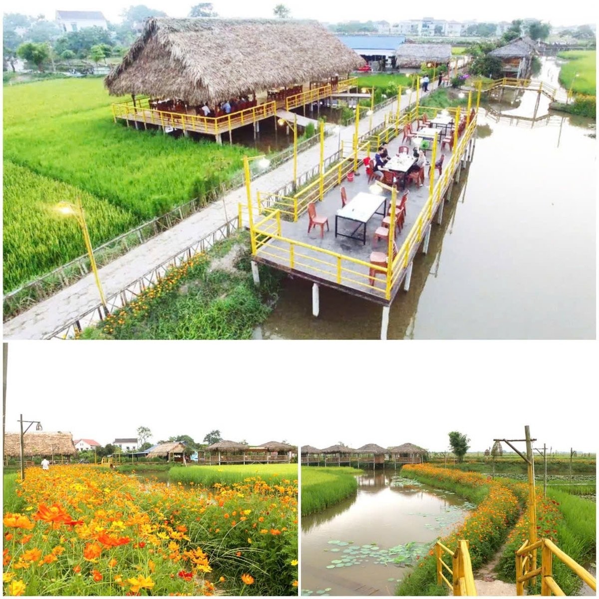 Khu du lịch sinh thái triệu đô ở Hà Tĩnh: Câu chuyện khởi nghiệp đầy cảm hứng của nông dân xuất sắc