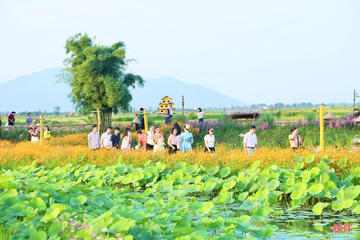 Khu du lịch sinh thái triệu đô ở Hà Tĩnh: Câu chuyện khởi nghiệp đầy cảm hứng của nông dân xuất sắc
