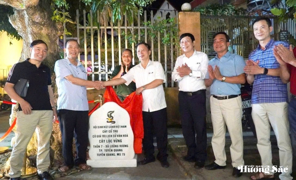 Tuyên Quang tổ chức Triển lãm cây cảnh chào mừng Đại hội đại biểu Đảng bộ tỉnh, nhiệm kỳ 2025 – 2030