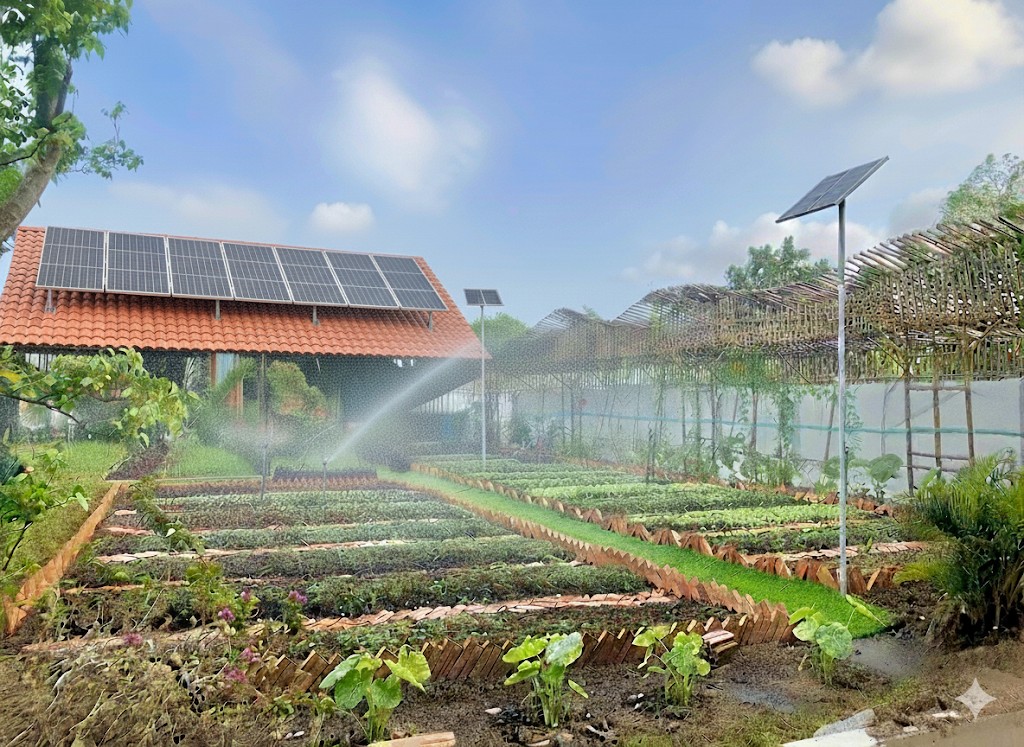 Từ mái nhà đến vườn cảnh: Hội viên Hội Sinh vật cảnh hưởng lợi từ chính sách mới về điện mặt trời