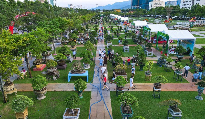 Hội Sinh vật cảnh Gia Lai – Khởi sắc sau sáp nhập, vươn tầm với Liên hoan mở rộng lần thứ I