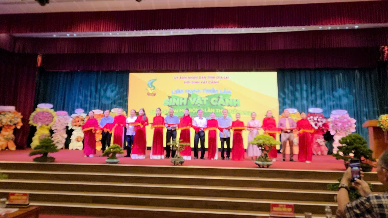 Hội Sinh vật cảnh Gia Lai – Khởi sắc sau sáp nhập, vươn tầm với Liên hoan mở rộng lần thứ I