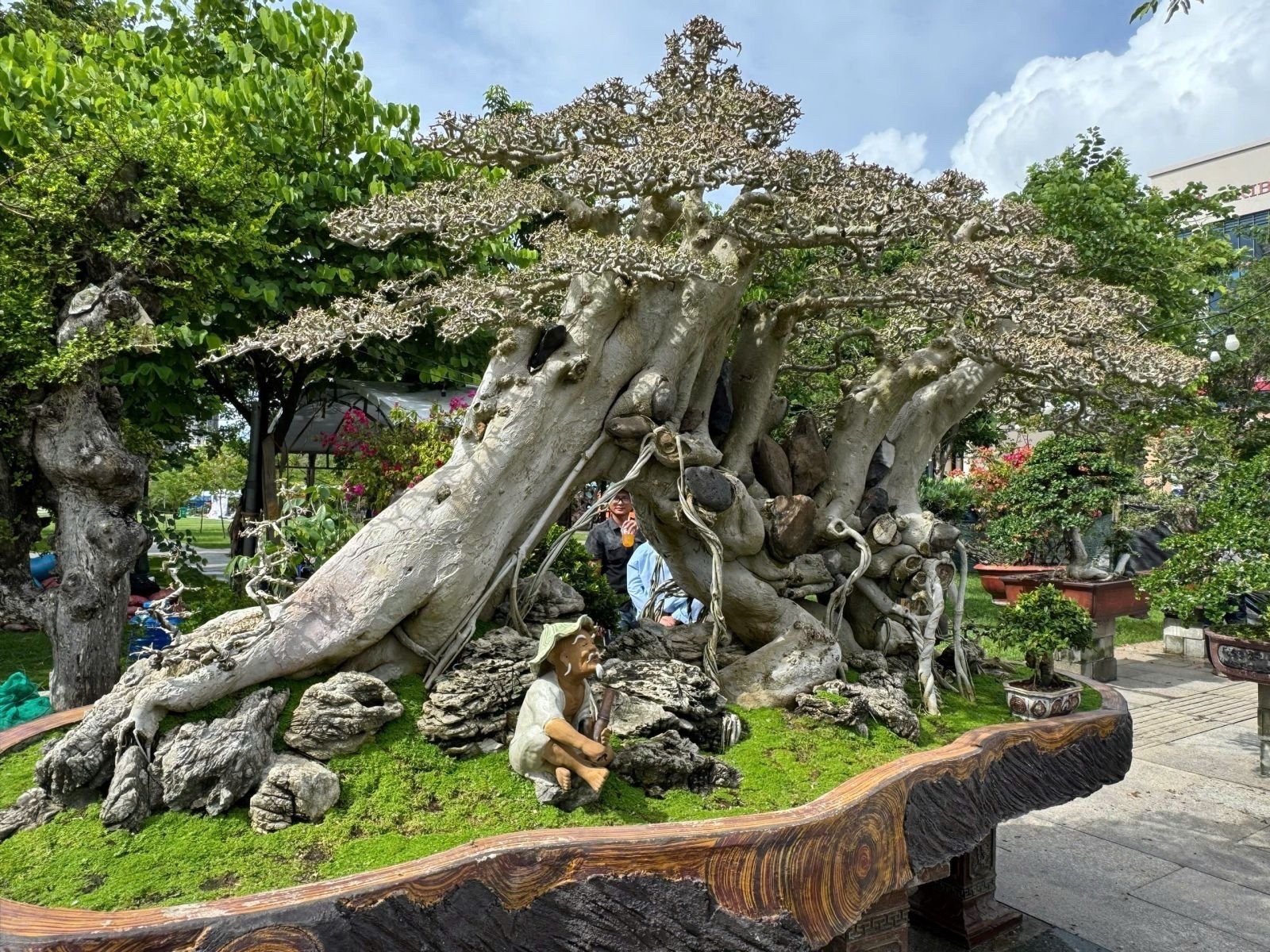 Hội Sinh vật cảnh Gia Lai – Khởi sắc sau sáp nhập, vươn tầm với Liên hoan mở rộng lần thứ I