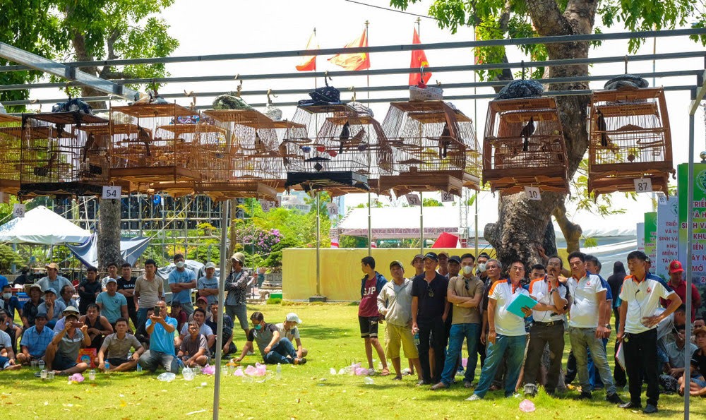 Hội Sinh vật cảnh Gia Lai – Khởi sắc sau sáp nhập, vươn tầm với Liên hoan mở rộng lần thứ I