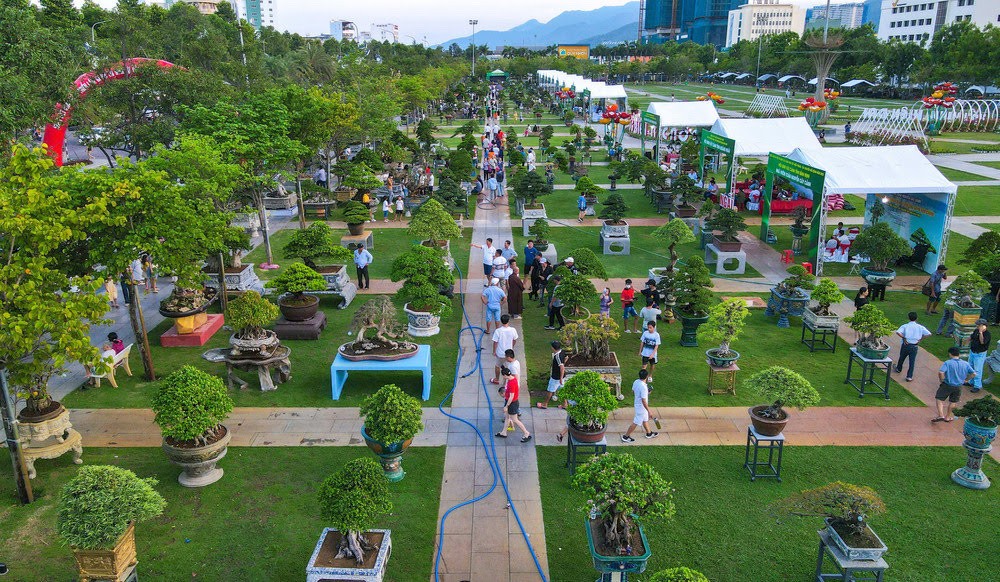 Hội Sinh vật cảnh Gia Lai – Khởi sắc sau sáp nhập, vươn tầm với Liên hoan mở rộng lần thứ I