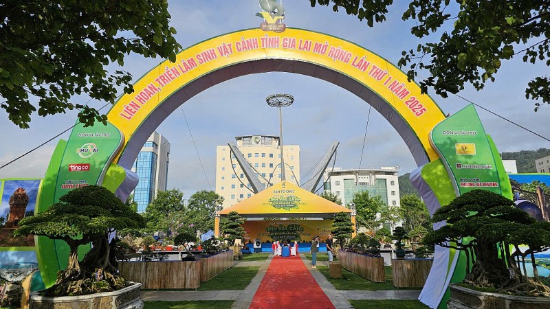 Khai mạc Liên hoan, Triển lãm SVC Gia Lai mở rộng lần thứ nhất 2025