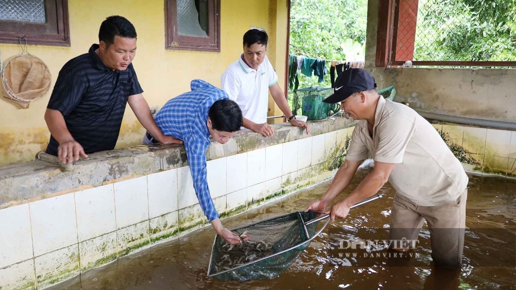 Từ ao nhỏ đến lợi nhuận lớn: Nông dân Lào Cai mách cách chọn cá giống chuẩn