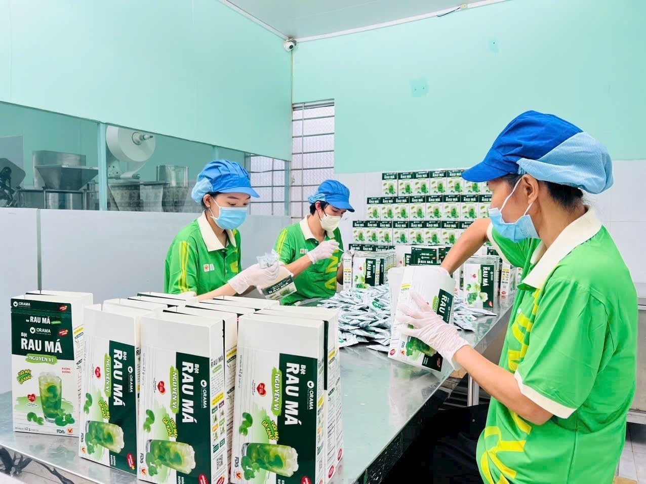 Cô gái biến rau dại quanh nhà thành sản phẩm xuất khẩu châu Âu