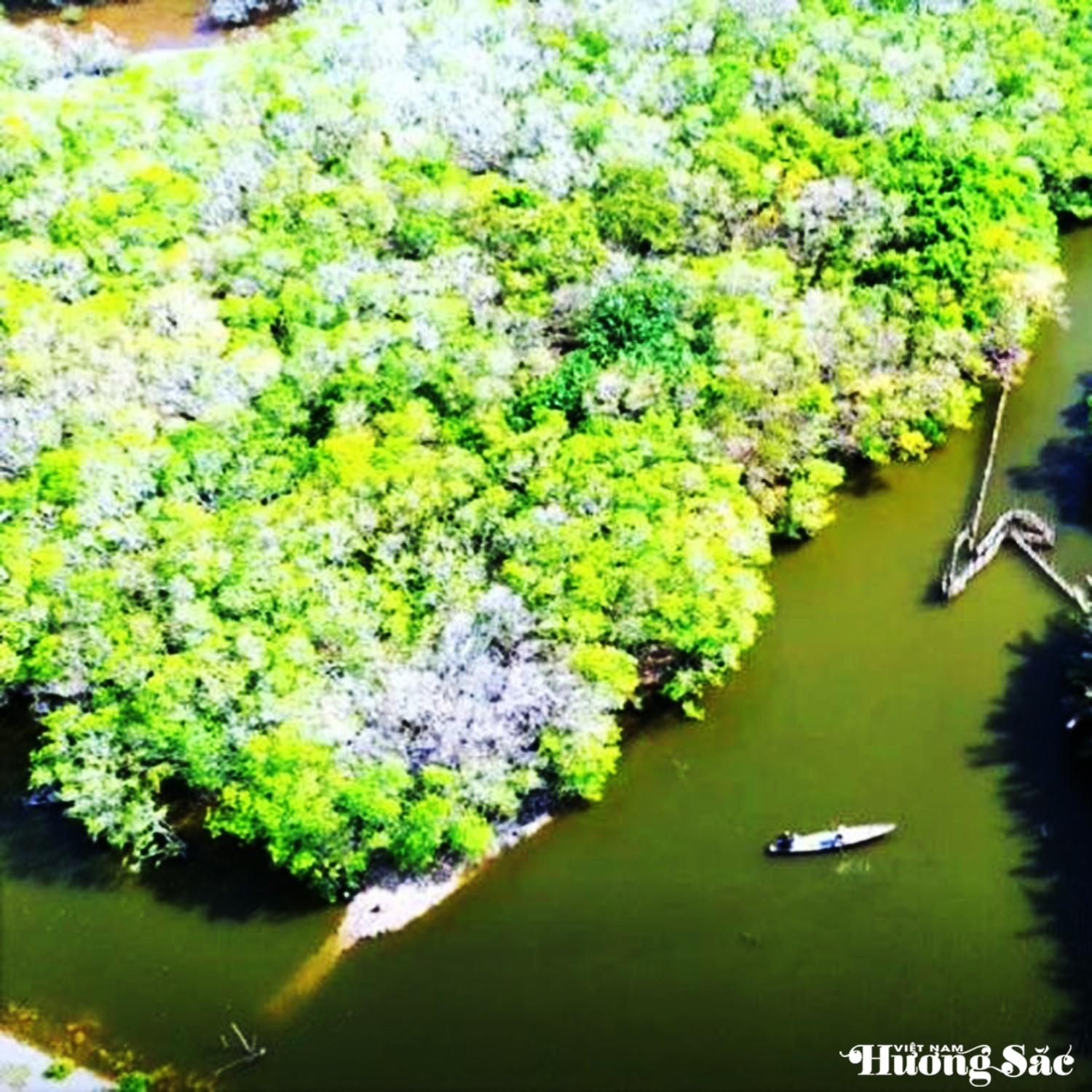 Hơn 73 tỷ đồng “hồi sinh” lá phổi xanh Rú Chá thành phố Huế