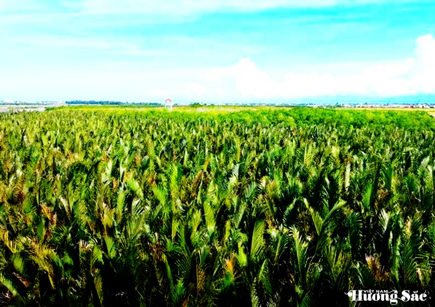 Hơn 73 tỷ đồng “hồi sinh” lá phổi xanh Rú Chá thành phố Huế