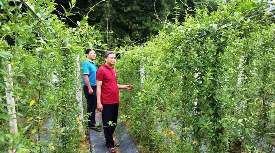 Nghệ An ra mắt điểm du lịch nông nghiệp dược liệu tại Vườn quốc gia Pù Mát