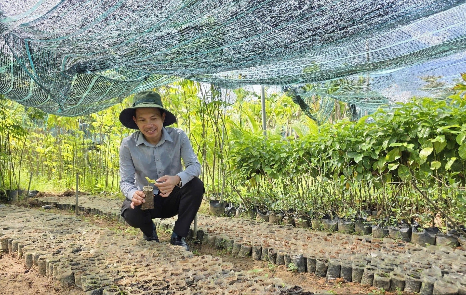 Từ cử nhân kinh tế đến ông chủ vườn ươm 15.000m², doanh thu hàng chục tỷ đồng ở Đà Nẵng