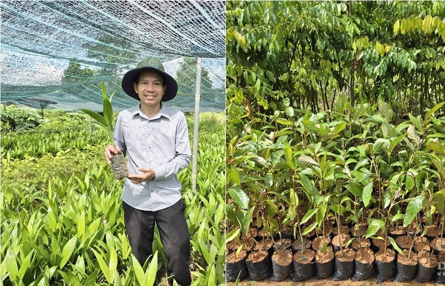 Từ cử nhân kinh tế đến ông chủ vườn ươm 15.000m², doanh thu hàng chục tỷ đồng ở Đà Nẵng