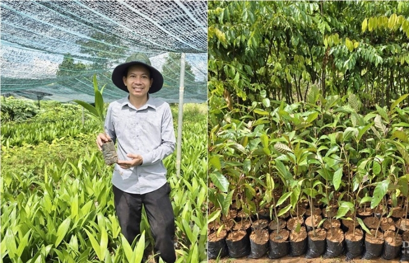 Từ cử nhân kinh tế đến ông chủ vườn ươm 15.000m², doanh thu hàng chục tỷ đồng ở Đà Nẵng