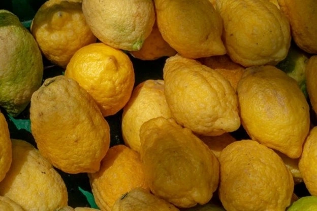 Loại quả sần sùi, hương thơm nồng nàn: “Dược liệu quý” trong vườn nhà nhưng ít người để ý