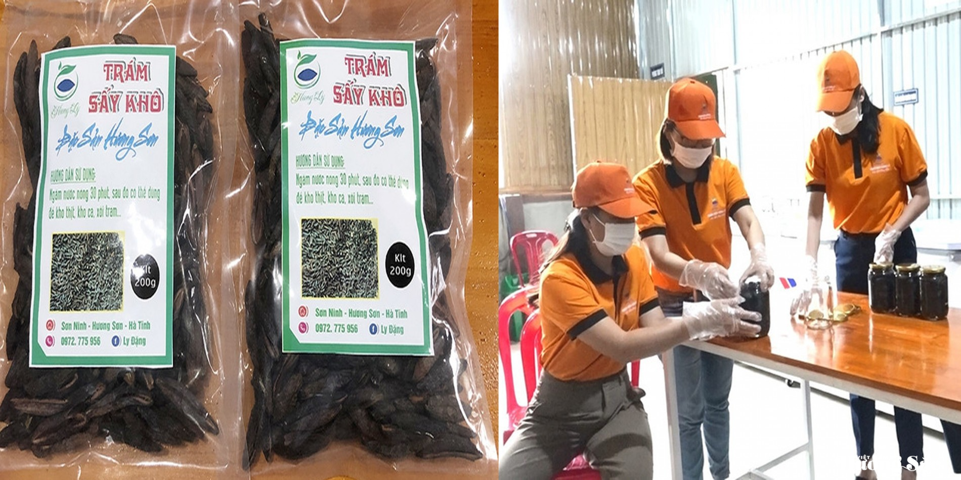 Trám đen: Cơ hội phát triển kinh tế nông thôn từ đặc sản bản địa