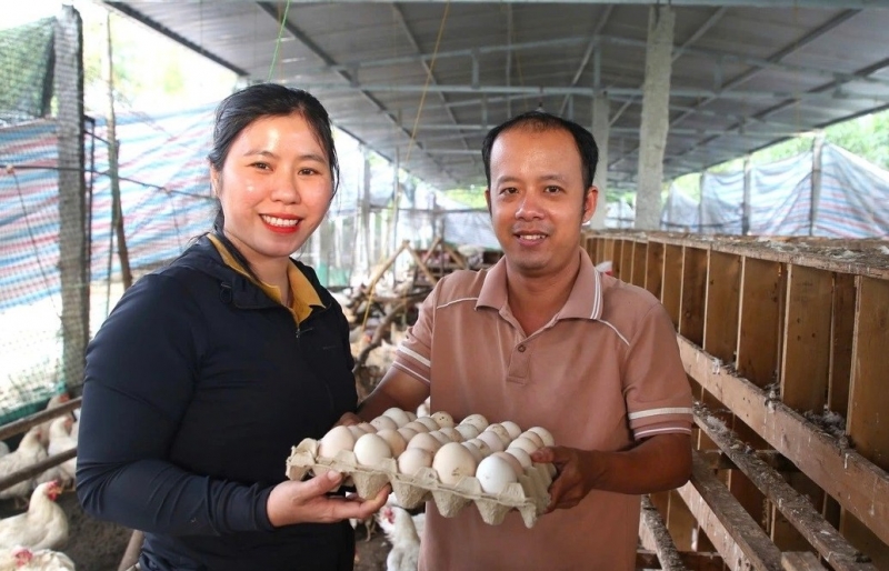Ba lần trắng tay, vợ chồng 9X thành công nhờ nuôi gà “nhân đạo”