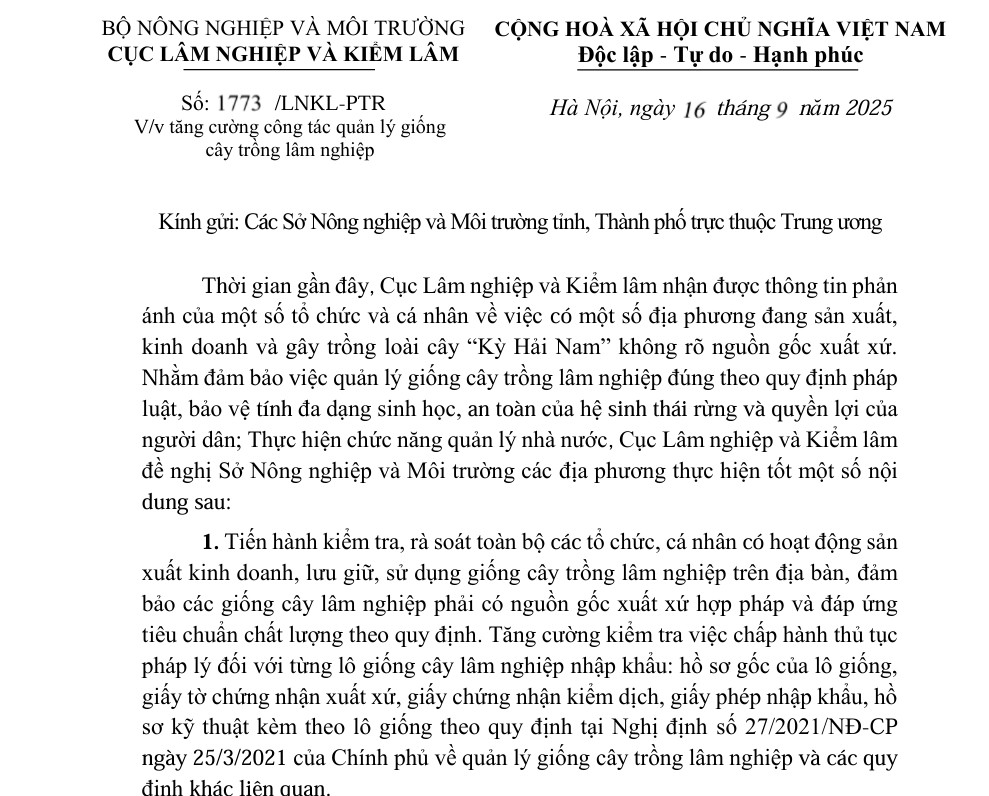 Cục Lâm nghiệp và Kiểm lâm cảnh báo: Tăng cường quản lý giống Kỳ Hải Nam chưa rõ nguồn gốc