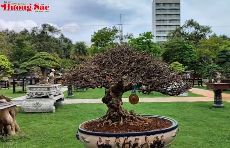 Hội SVC Quảng Ngãi góp mặt 30 tác phẩm xuất sắc tại Triển lãm Sinh vật cảnh Gia Lai 2025