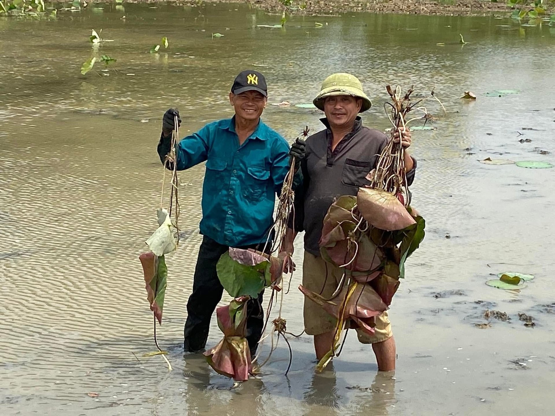 Chi hội trưởng nông dân Huế làm giàu từ sen, tiên phong trong công tác Hội và thiện nguyện