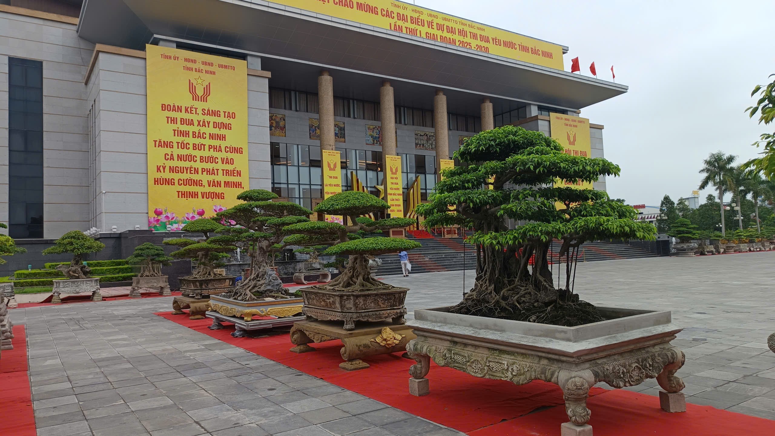 Những cánh chim hòa bình và sắc hương sinh vật cảnh tỏa sáng tại Đại hội Thi đua yêu nước Bắc Ninh lần thứ I