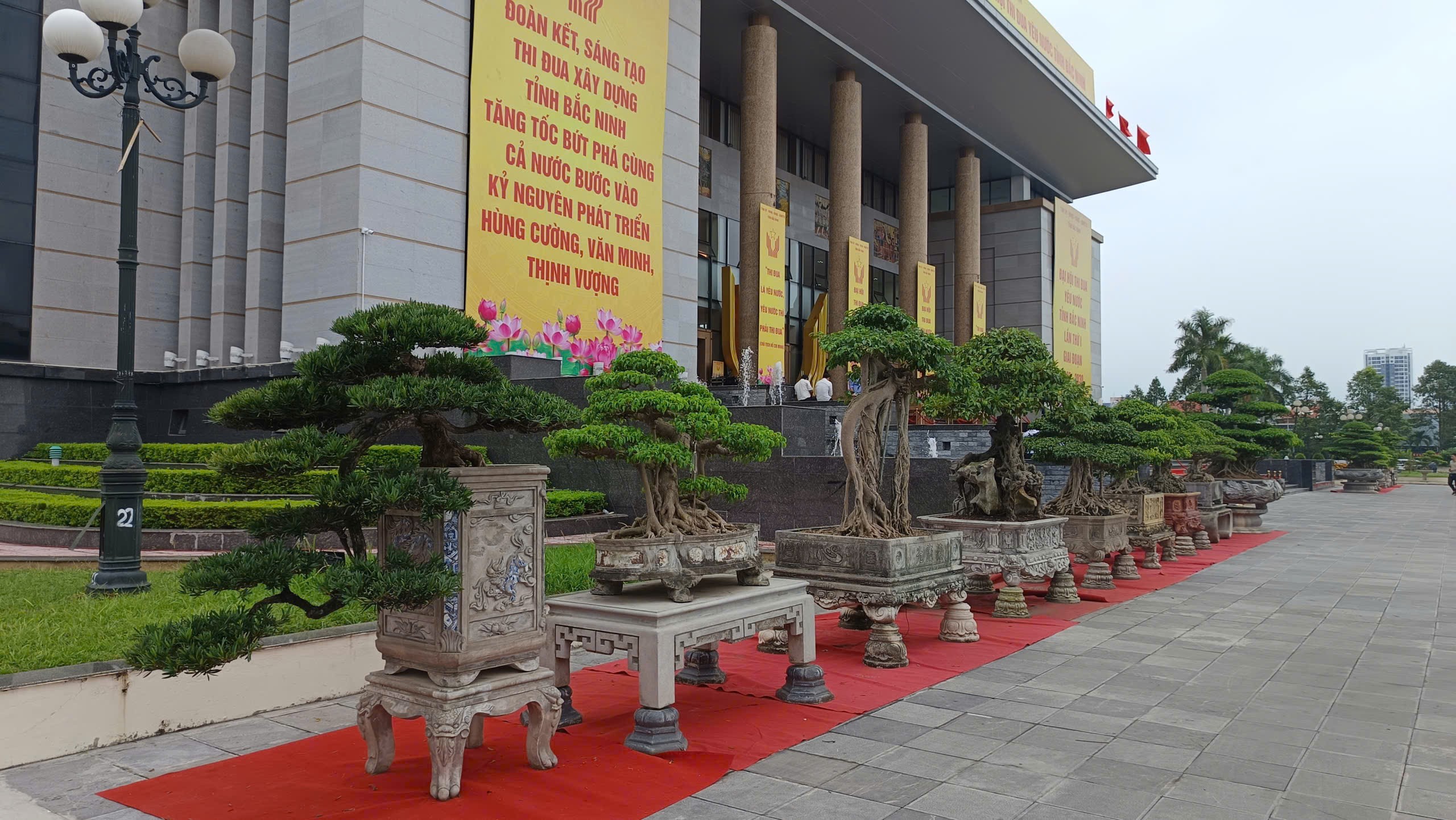 Những cánh chim hòa bình và sắc hương sinh vật cảnh tỏa sáng tại Đại hội Thi đua yêu nước Bắc Ninh lần thứ I